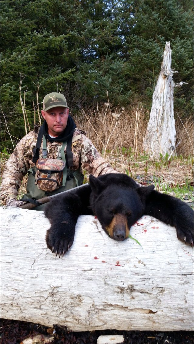 Alaska black bear hunt