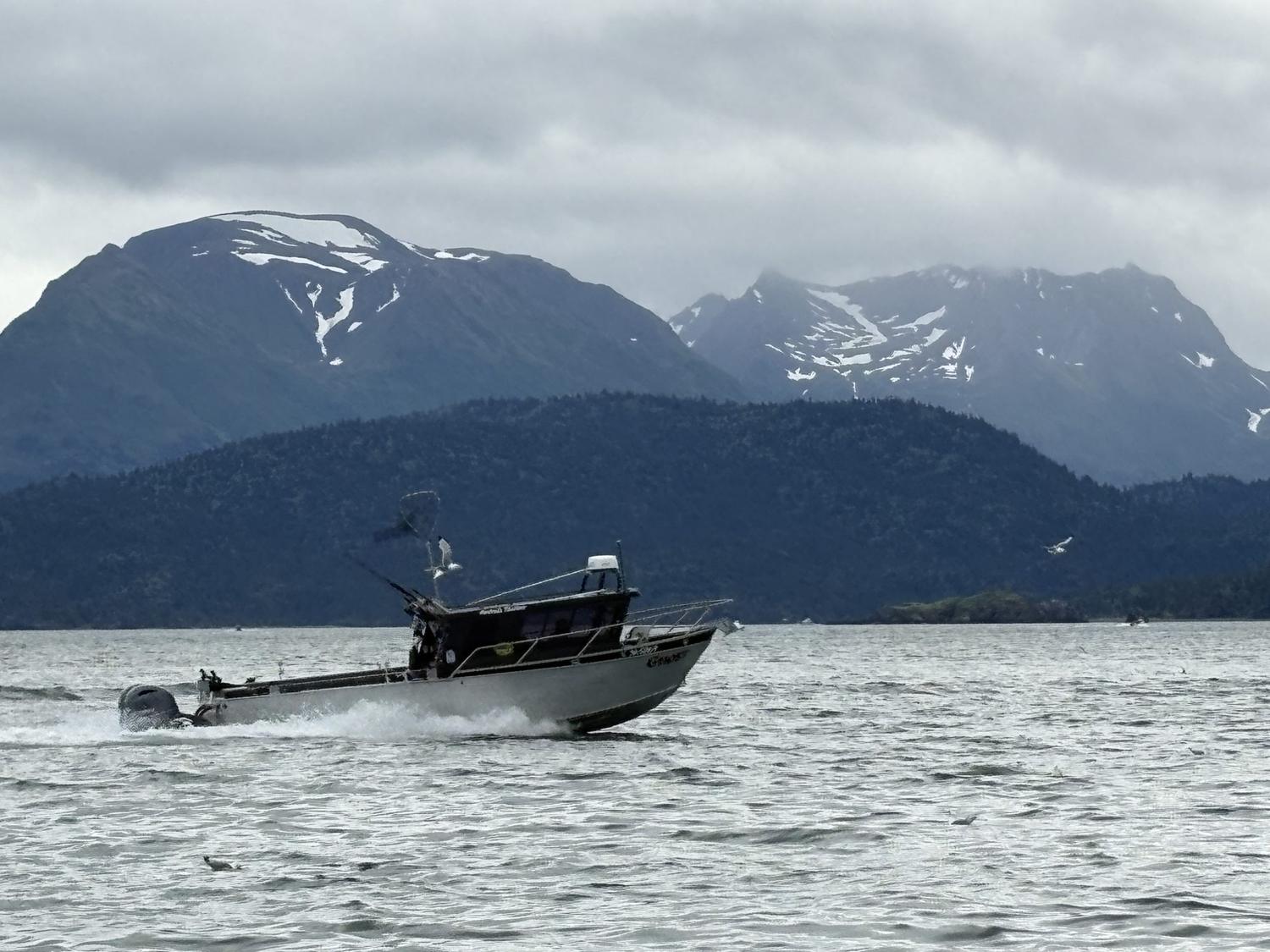 Swoboda Charters running out of Homer, Alaska with the Kenai range behind