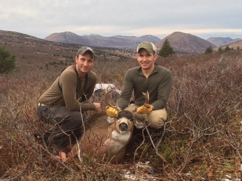 Kodiak Island Sitka deer
