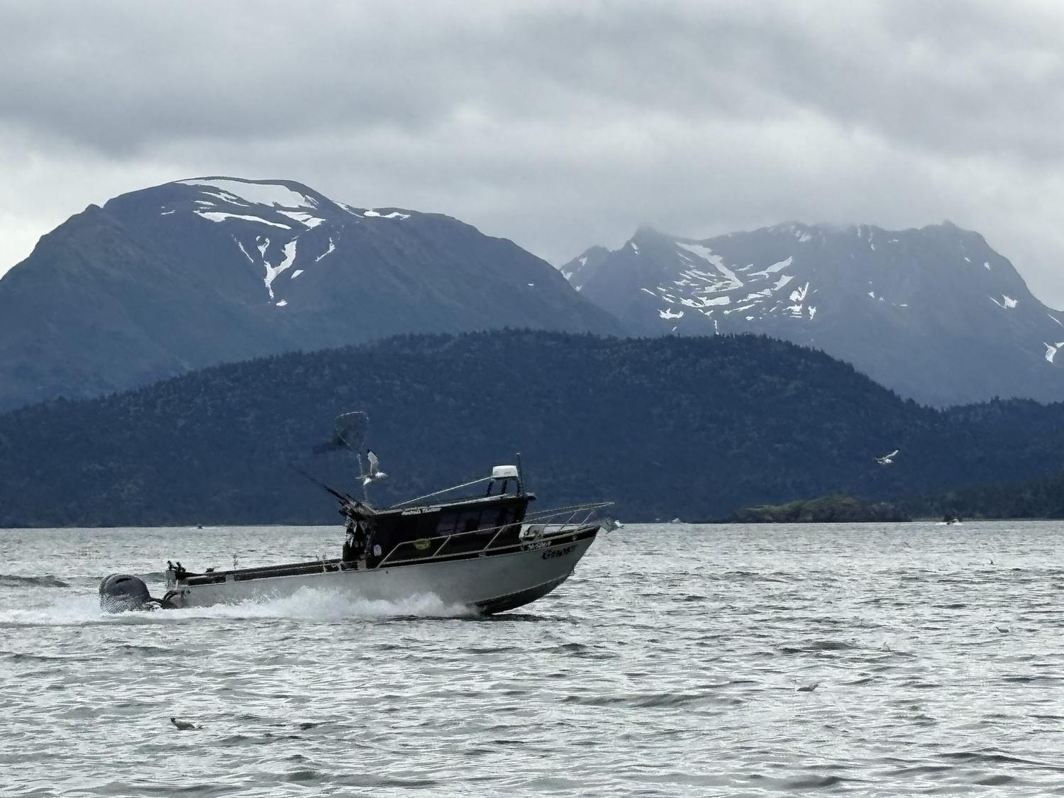 The M/V Ghost running Kachemak Bay