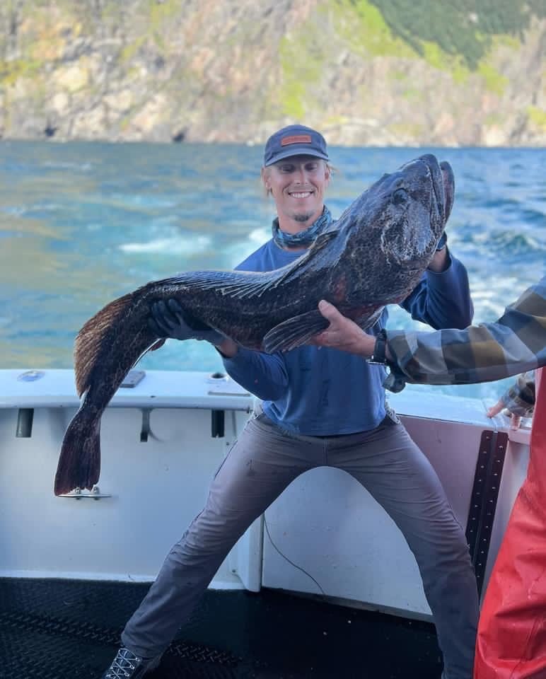Angler hoisting a heavy Alaskan ling cod